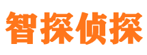 陆河市婚外情调查